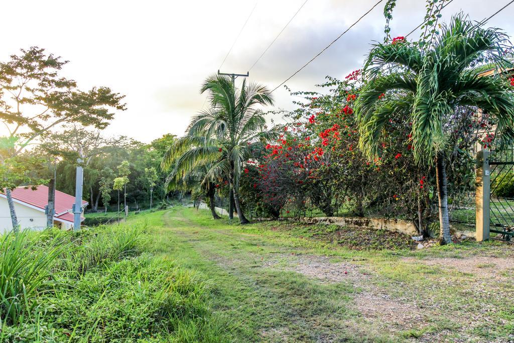 Villa Maya San Ignacio Exterior foto